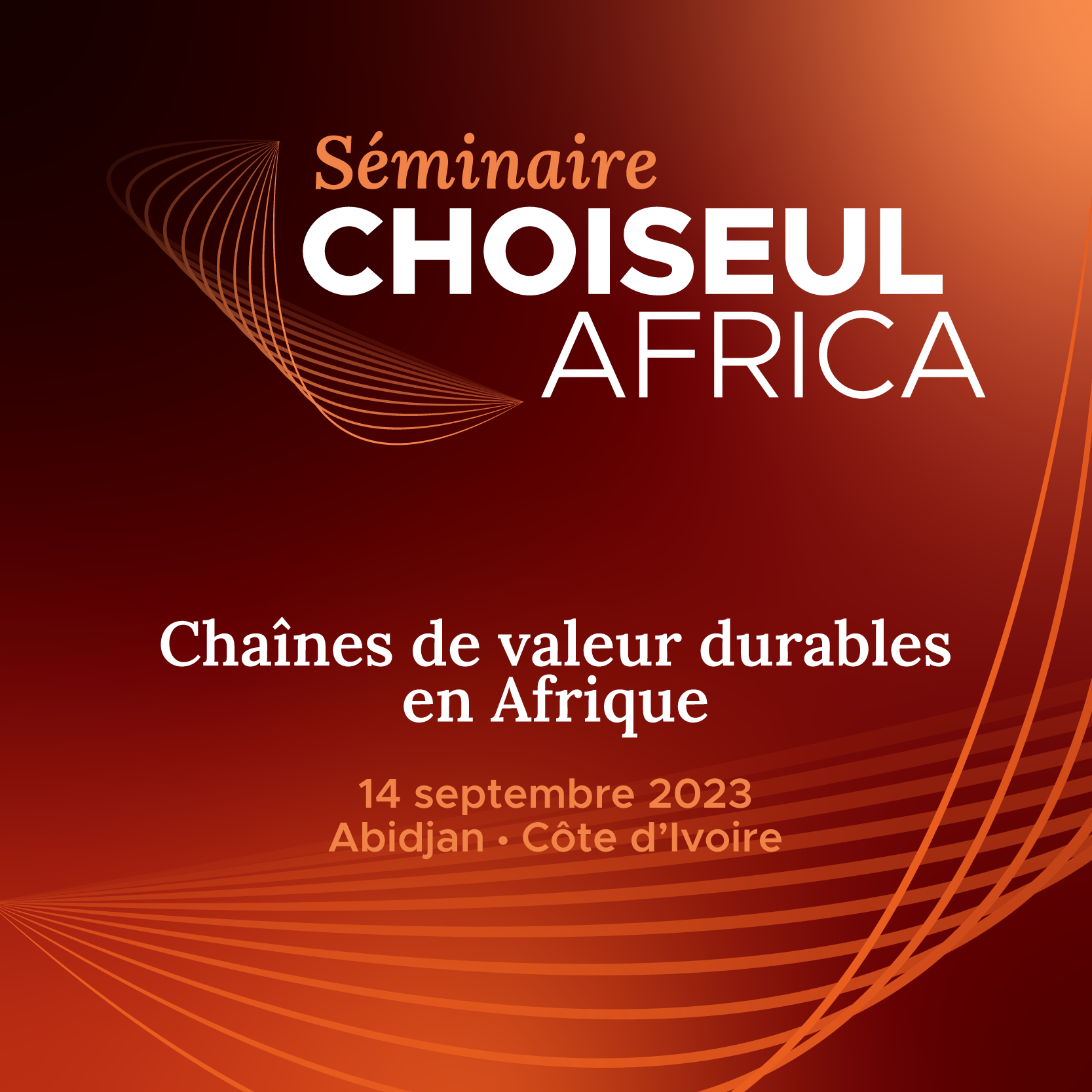Séminaire Choiseul Africa – Chaînes de valeur durables en Afrique
