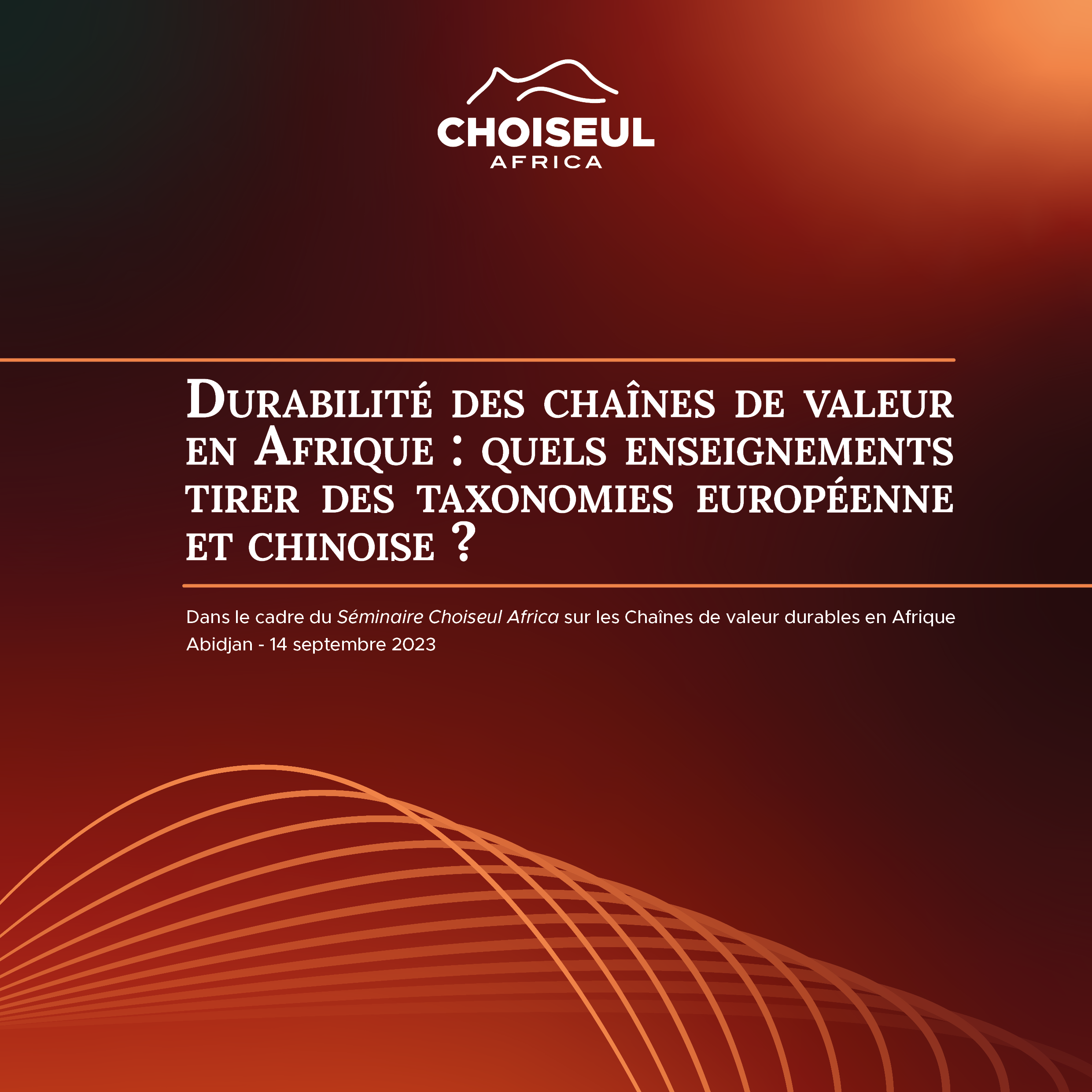 Choiseul Africa Seminar | Sustainable value chains in Africa